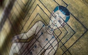 points-d'acupuncture-traitements-des-maux-dao-et-sens
